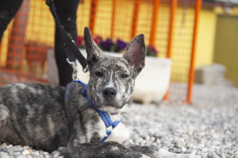 multimedia-foto70431-19-1