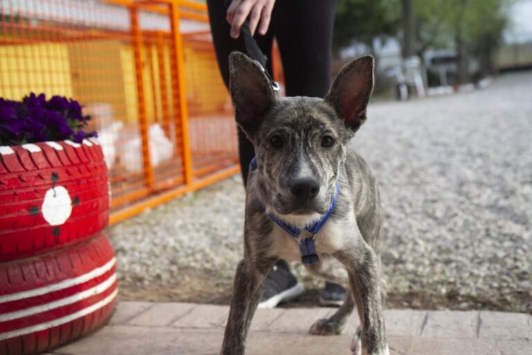 multimedia-foto70432-19-1