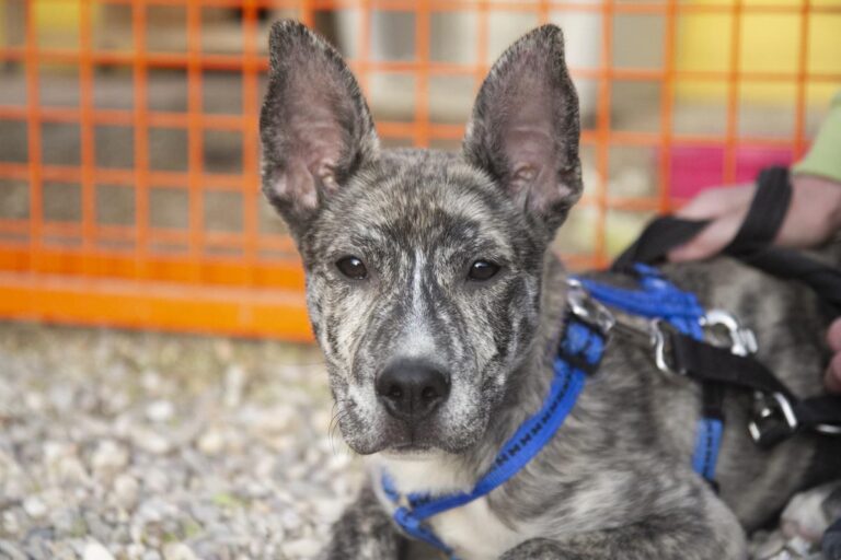 multimedia-foto70433-19-1