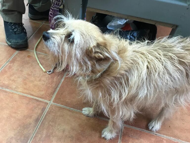 multimedia-foto70457-518-1