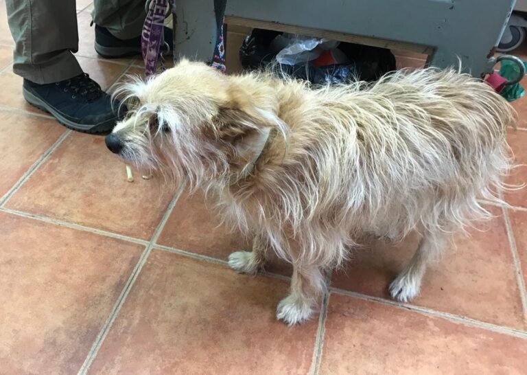 multimedia-foto70458-518-1