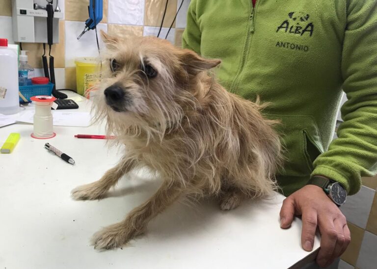 multimedia-foto70460-518-1