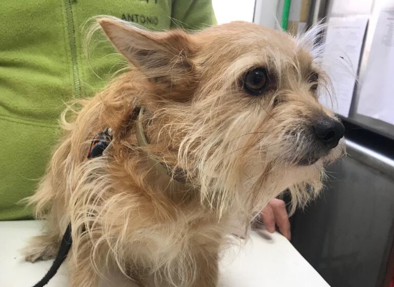 multimedia-foto70461-519-1