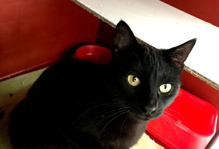 multimedia-foto70463-323-1