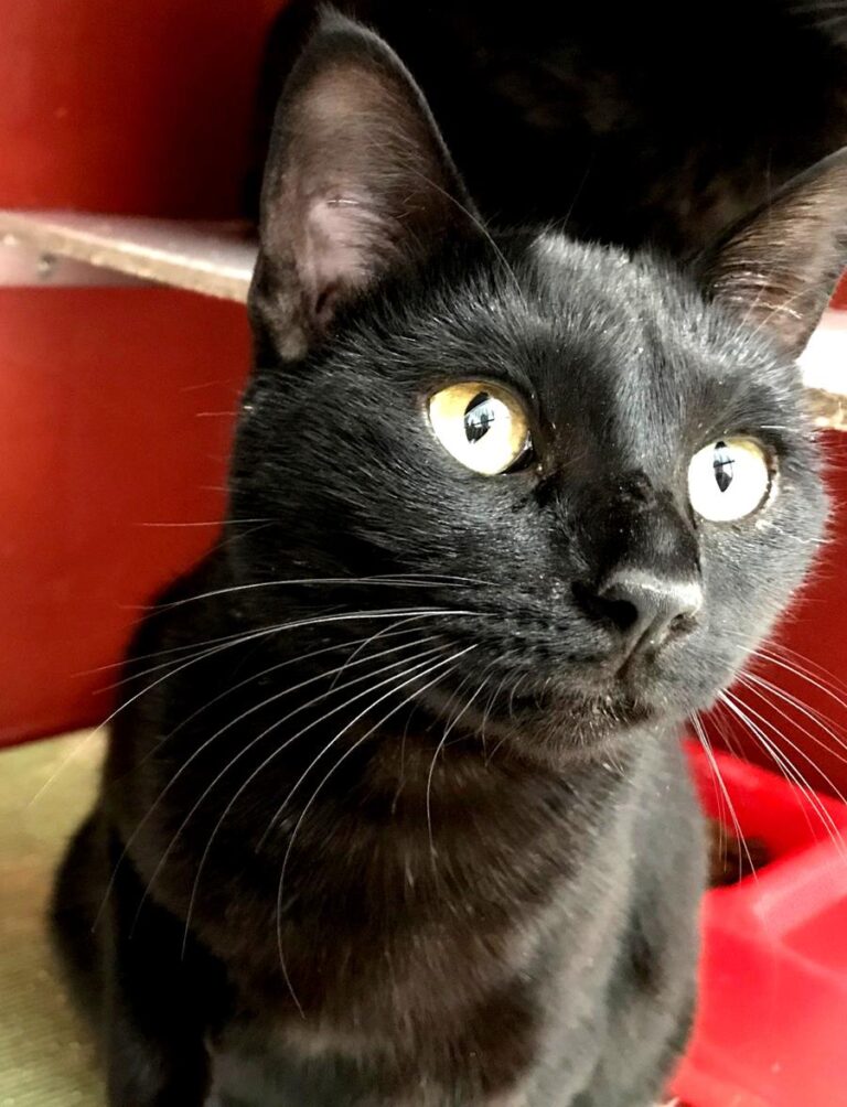 multimedia-foto70464-323-1