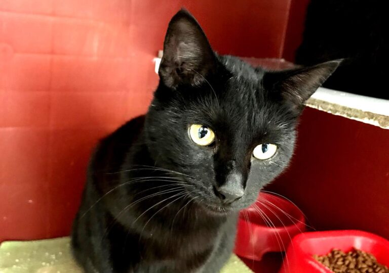 multimedia-foto70465-324-1