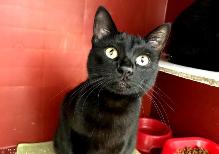 multimedia-foto70466-324-1