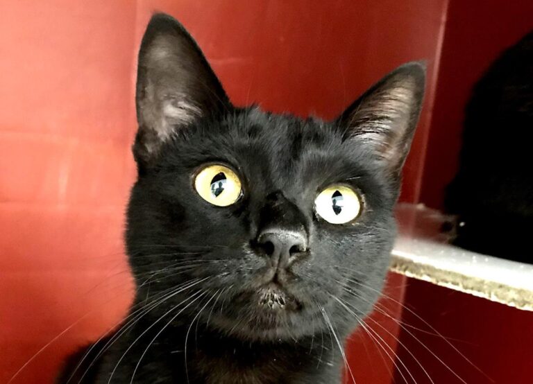 multimedia-foto70467-324-1