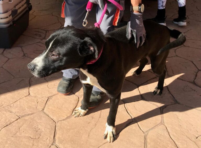 multimedia-foto70527-912-1