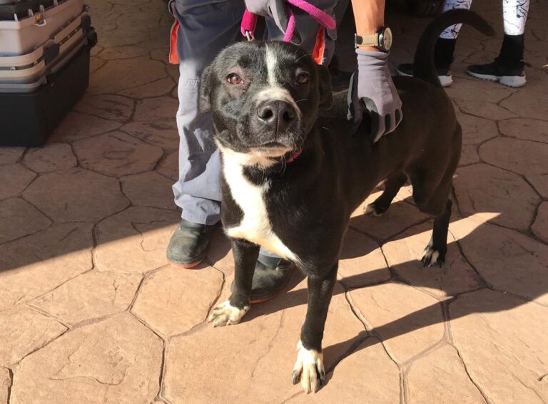 multimedia-foto70529-912-1