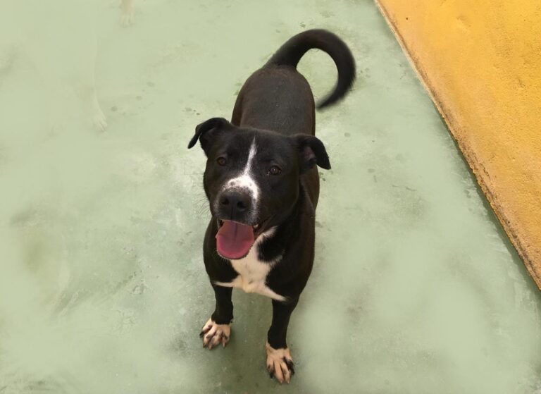 multimedia-foto70530-912-1