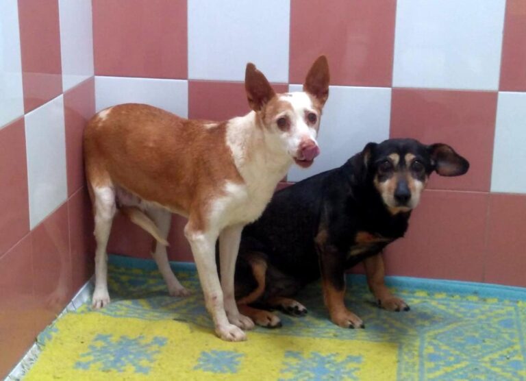 multimedia-foto70532-4-1