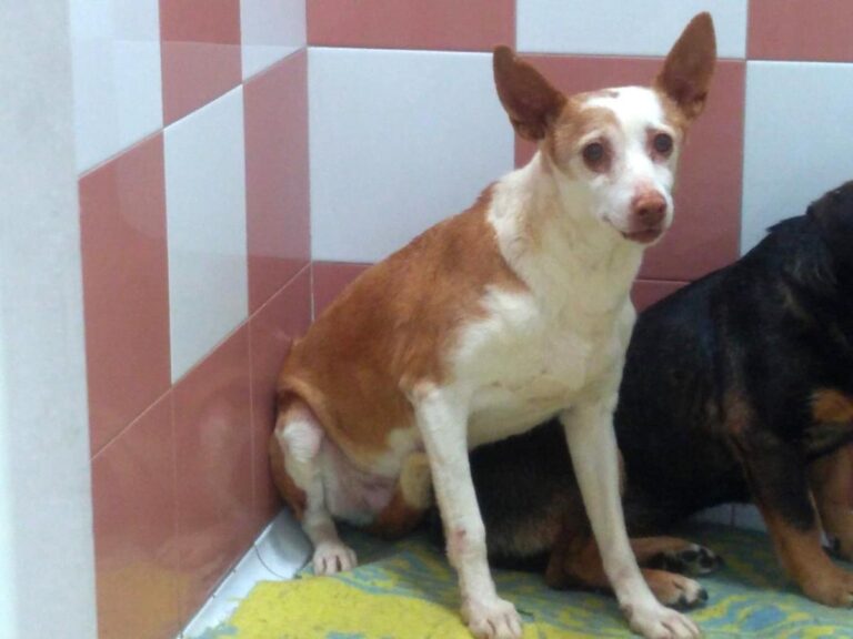 multimedia-foto70535-4-1