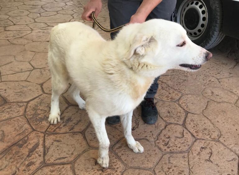 multimedia-foto70570-453-1