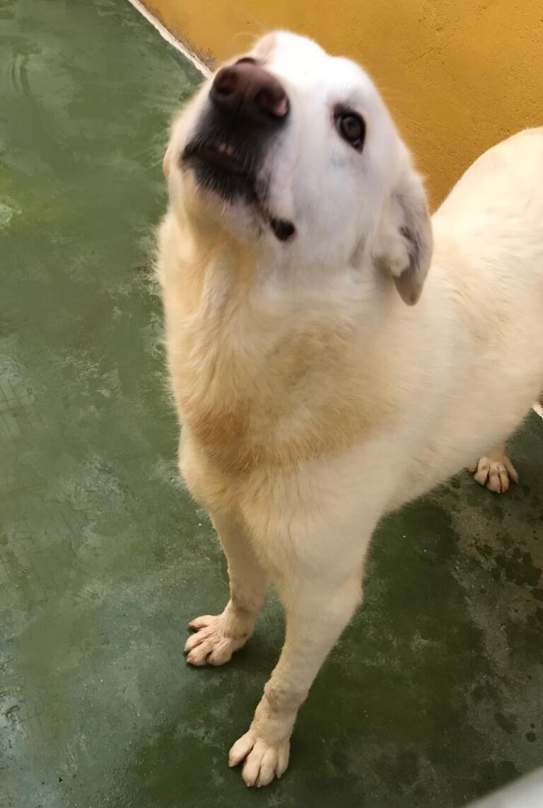 multimedia-foto70571-453-1