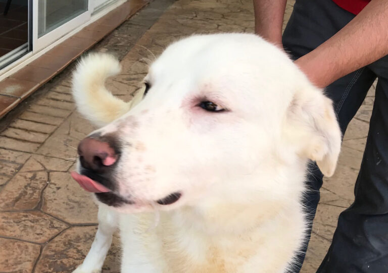 multimedia-foto70574-454-1