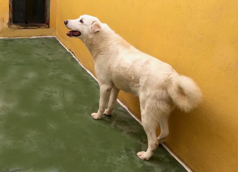 multimedia-foto70575-454-1