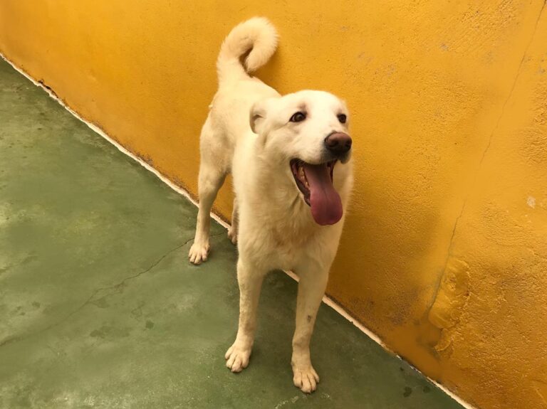 multimedia-foto70576-454-1