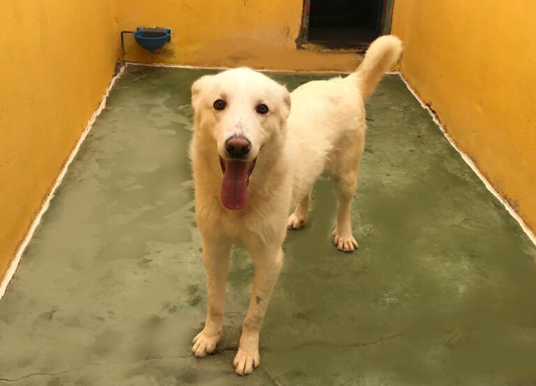 multimedia-foto70577-455-1