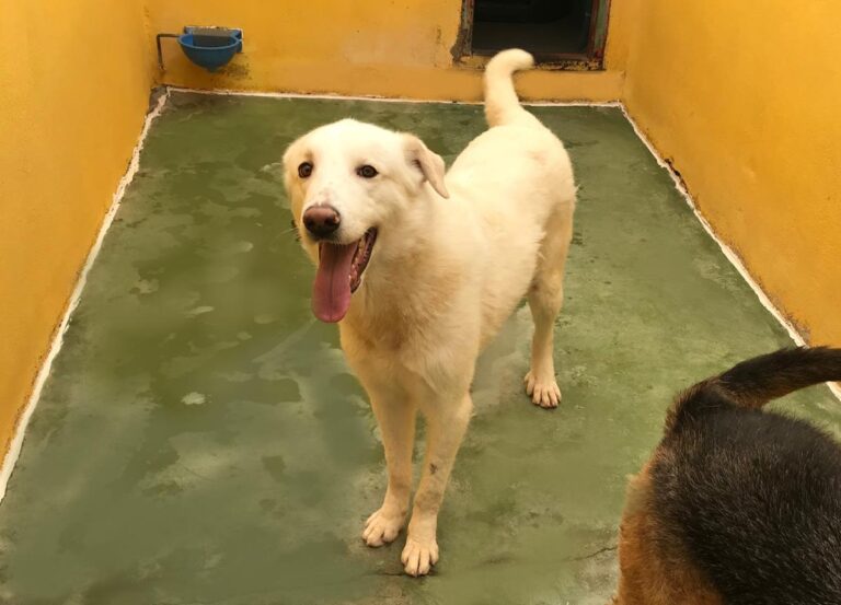 multimedia-foto70578-455-1