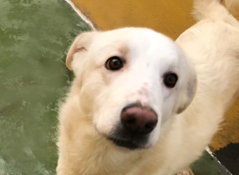 multimedia-foto70579-455-1