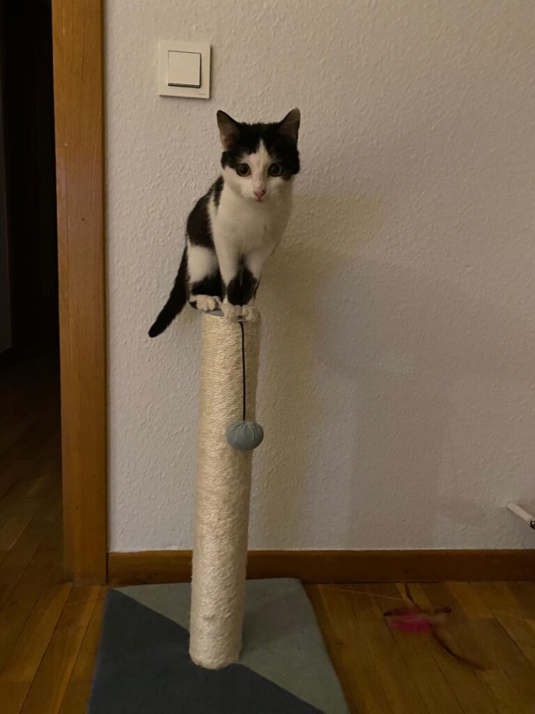 multimedia-foto70591-497-1