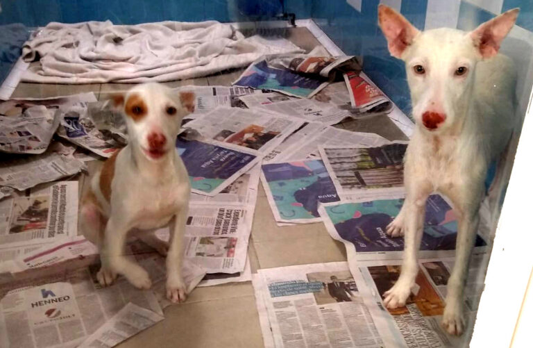 multimedia-foto70600-187-1