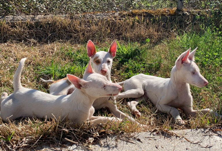 multimedia-foto70601-188-1