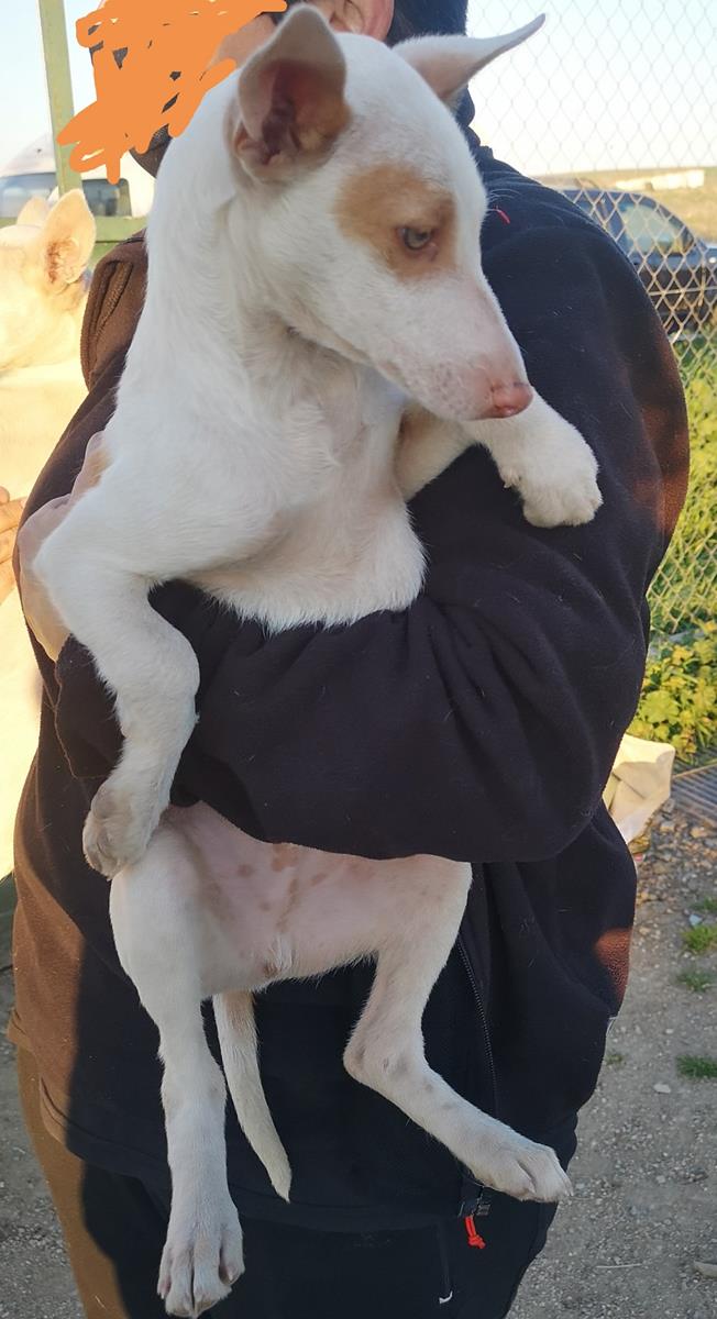 multimedia-foto70602-188-1