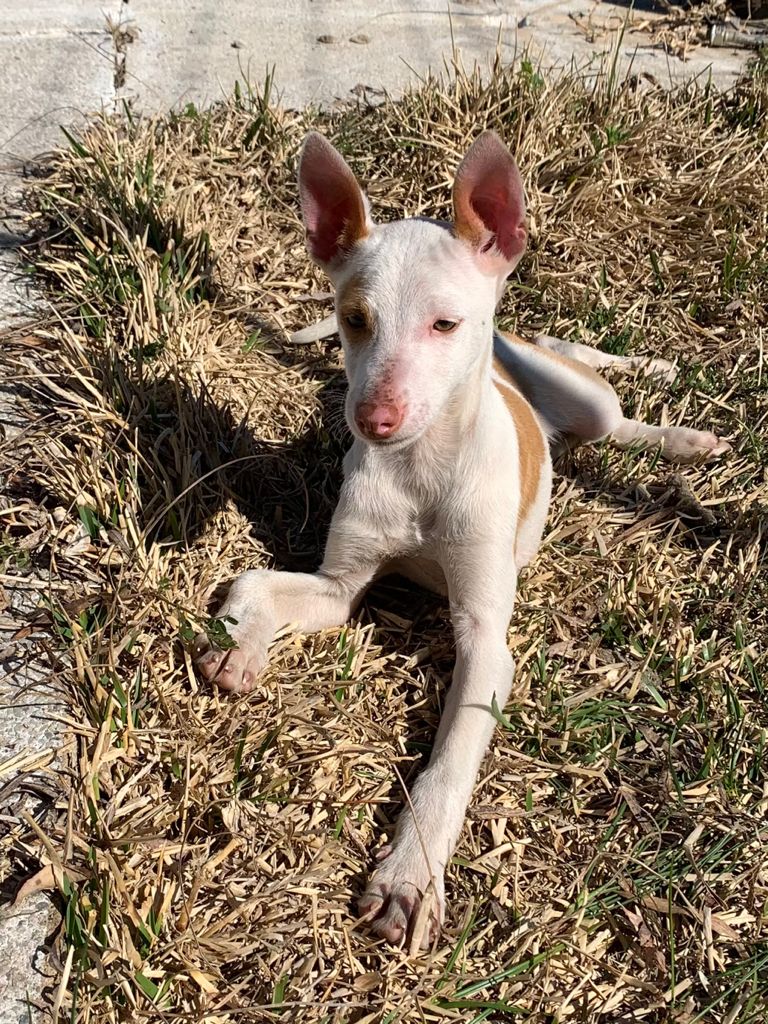 multimedia-foto70605-188-1