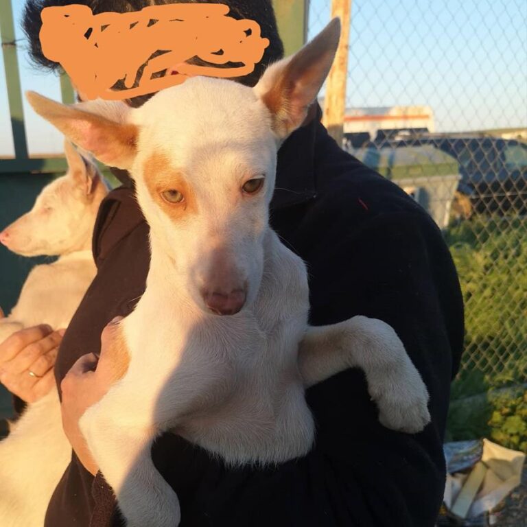 multimedia-foto70606-189-1