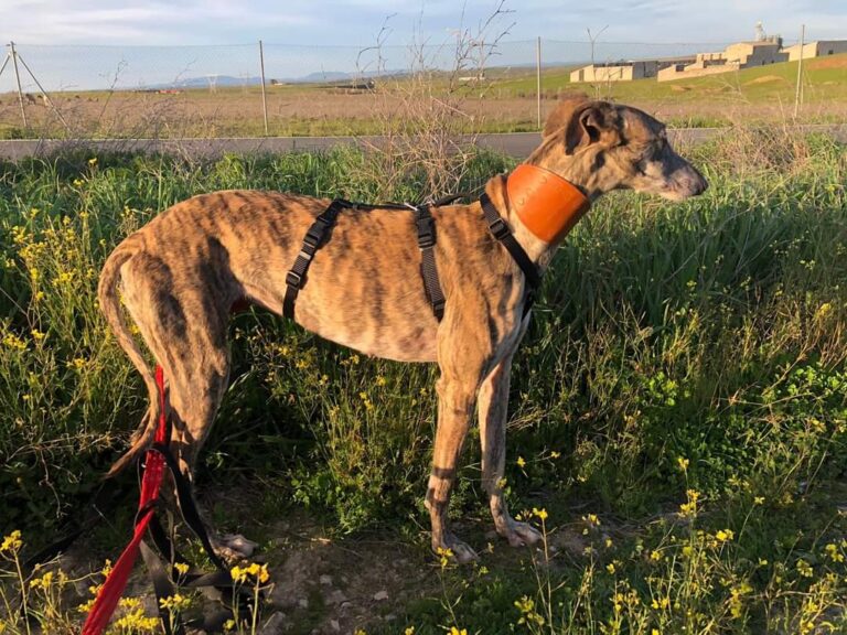 multimedia-foto70641-795-1