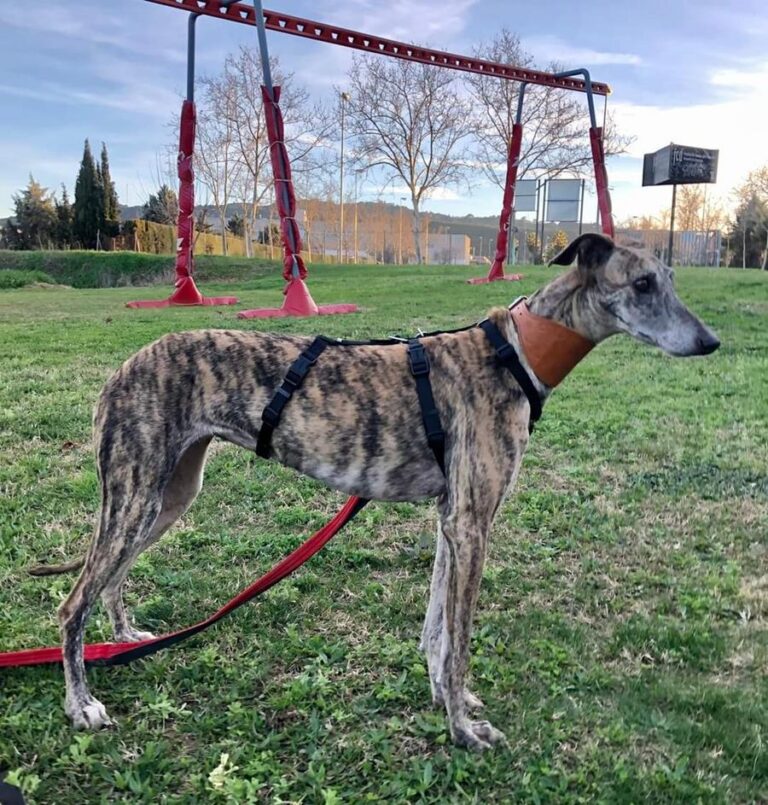 multimedia-foto70642-795-1