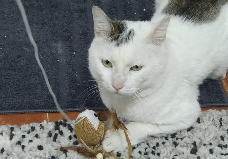 multimedia-foto70677-287-1