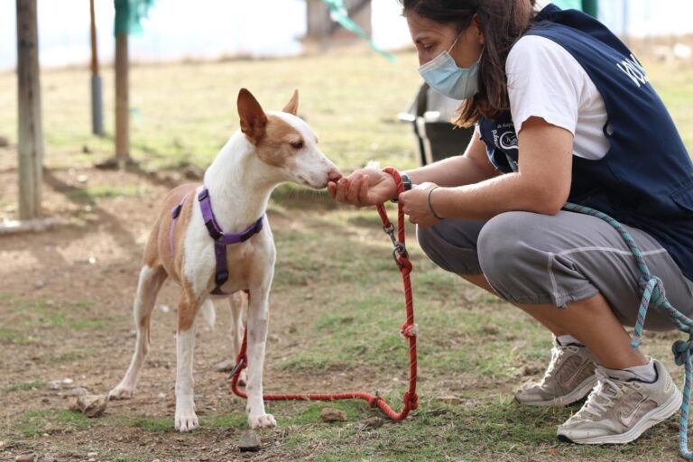 multimedia-foto70689-195-1