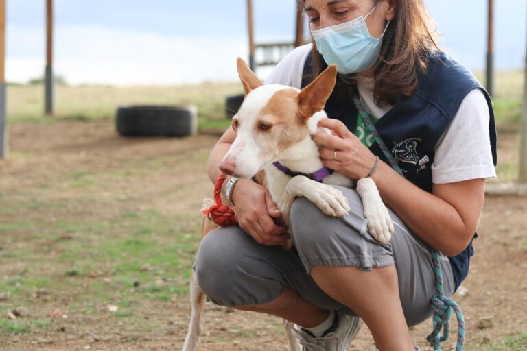 multimedia-foto70690-195-1