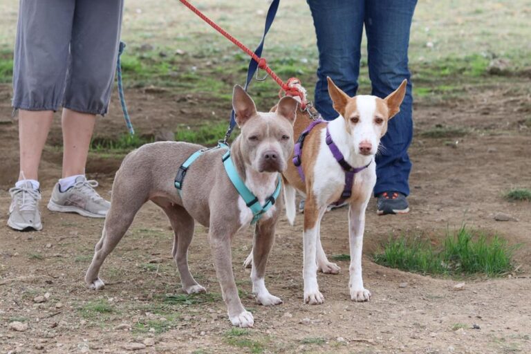 multimedia-foto70693-196-1