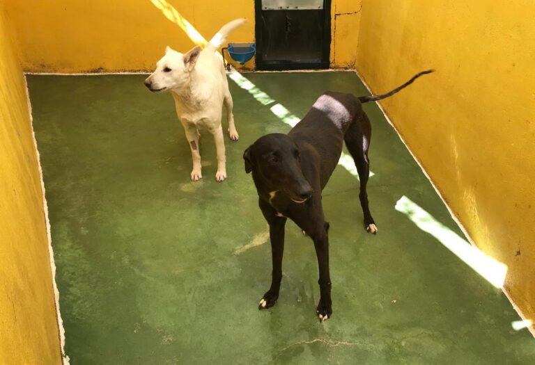 multimedia-foto70715-632-1