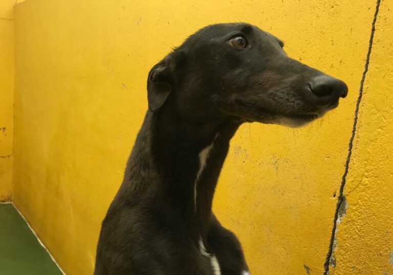 multimedia-foto70717-632-1