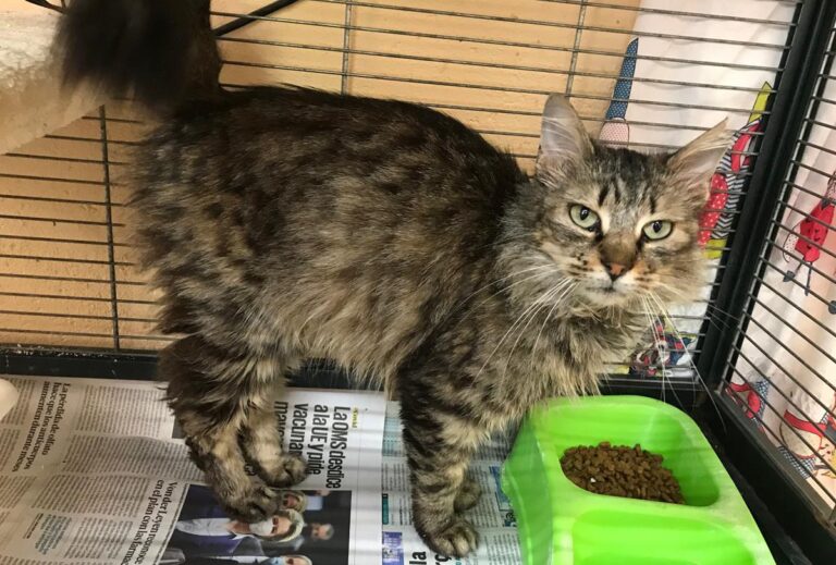 multimedia-foto70723-728-1