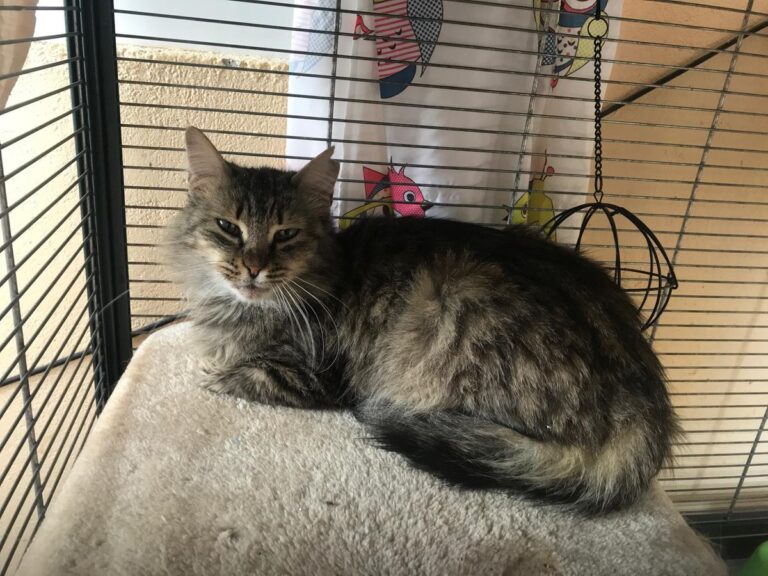 multimedia-foto70724-728-1