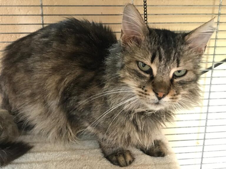 multimedia-foto70726-729-1