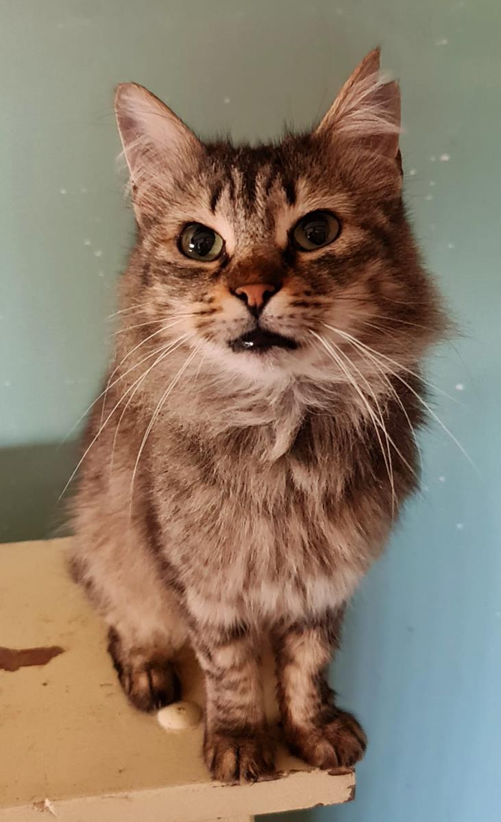 multimedia-foto70729-794-1