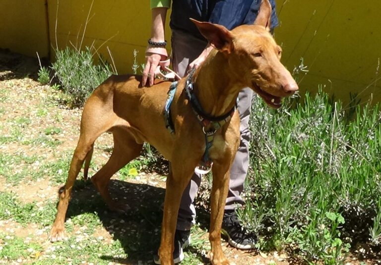 multimedia-foto70749-182-1