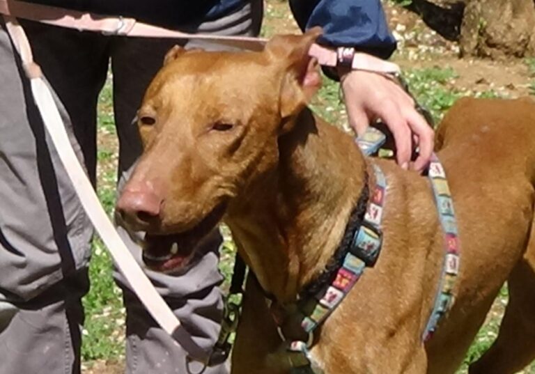 multimedia-foto70750-182-1