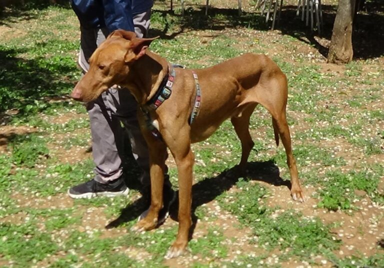 multimedia-foto70752-182-1