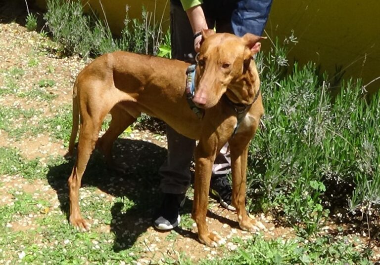 multimedia-foto70753-183-1