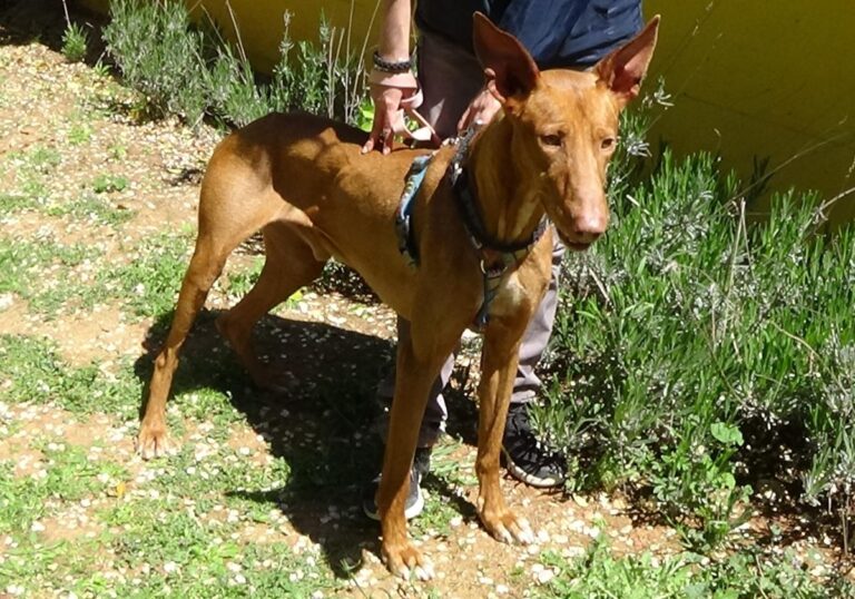 multimedia-foto70755-183-1