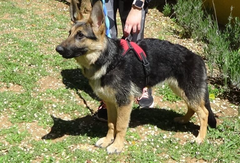 multimedia-foto70757-800-1