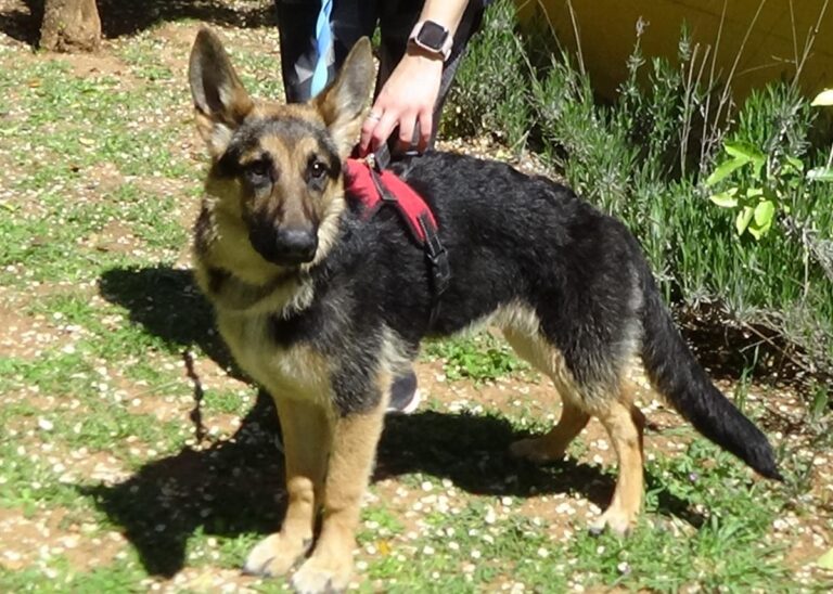 multimedia-foto70758-800-1